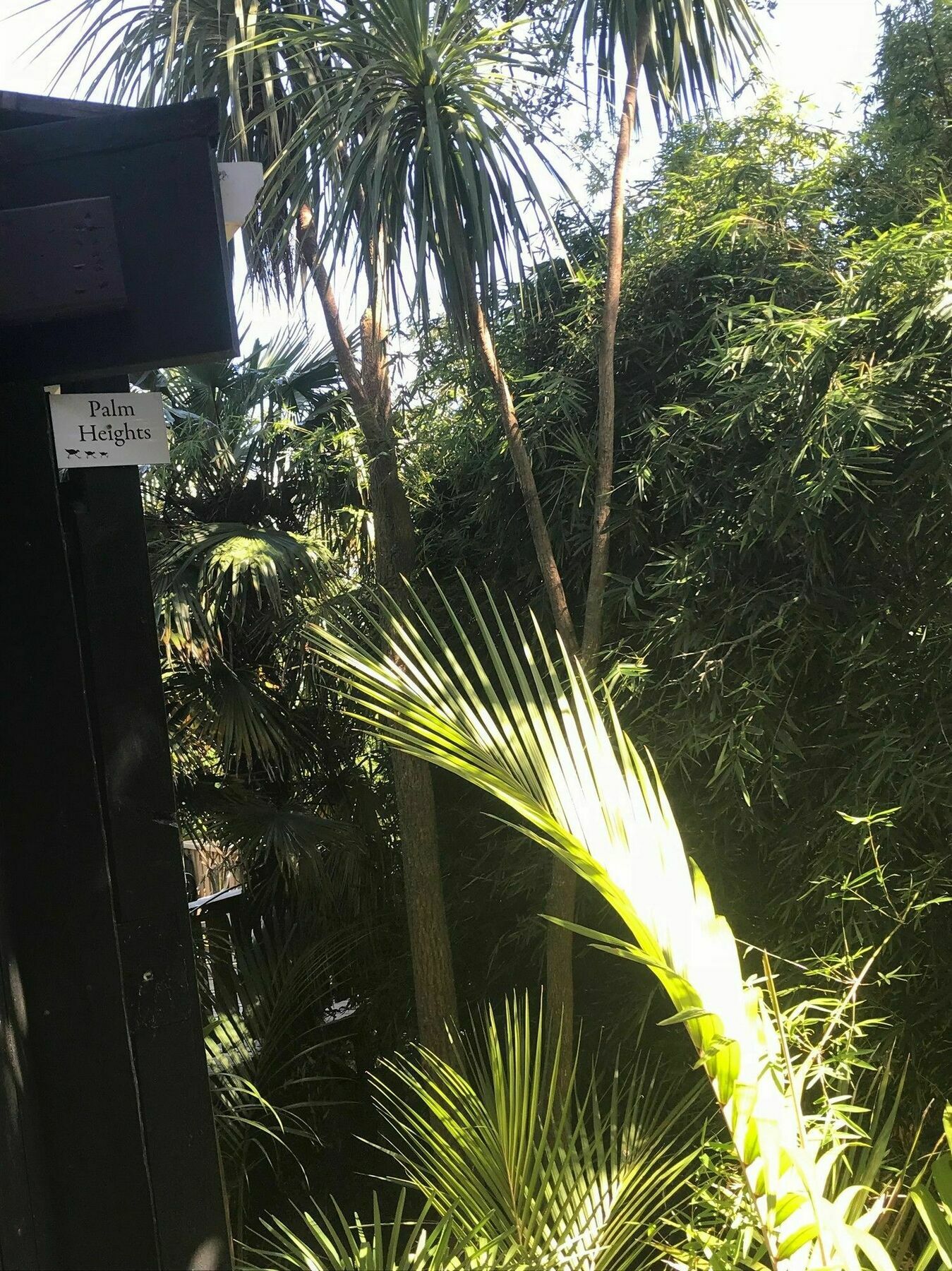 Appartamento Palm Heights Palm Beach Esterno foto